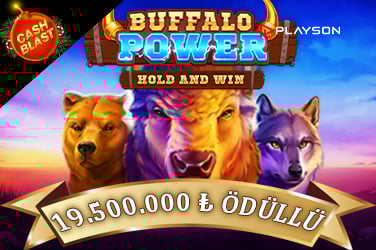 Buffalo Power: Hold and Win